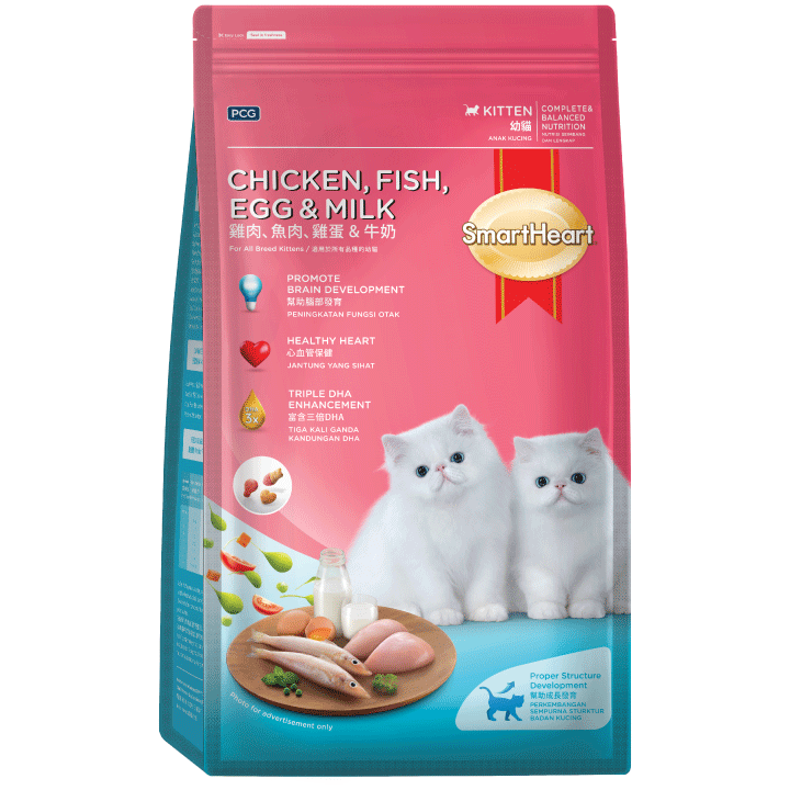 SHC-Kitten-Smartheart Dry Cat Food Brands in Singapore
