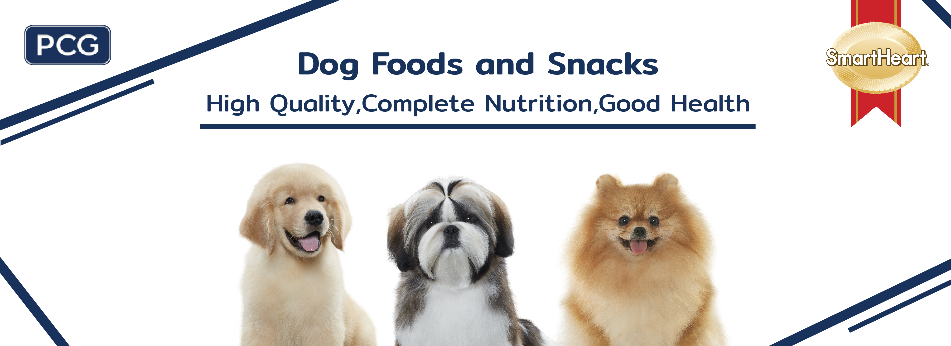 Dog food banner