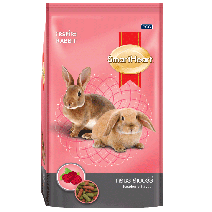 pet food Rabbit-raspberry