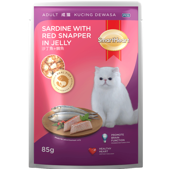 sardine-snapper-Smartheart Cat Food Brands in Singapore