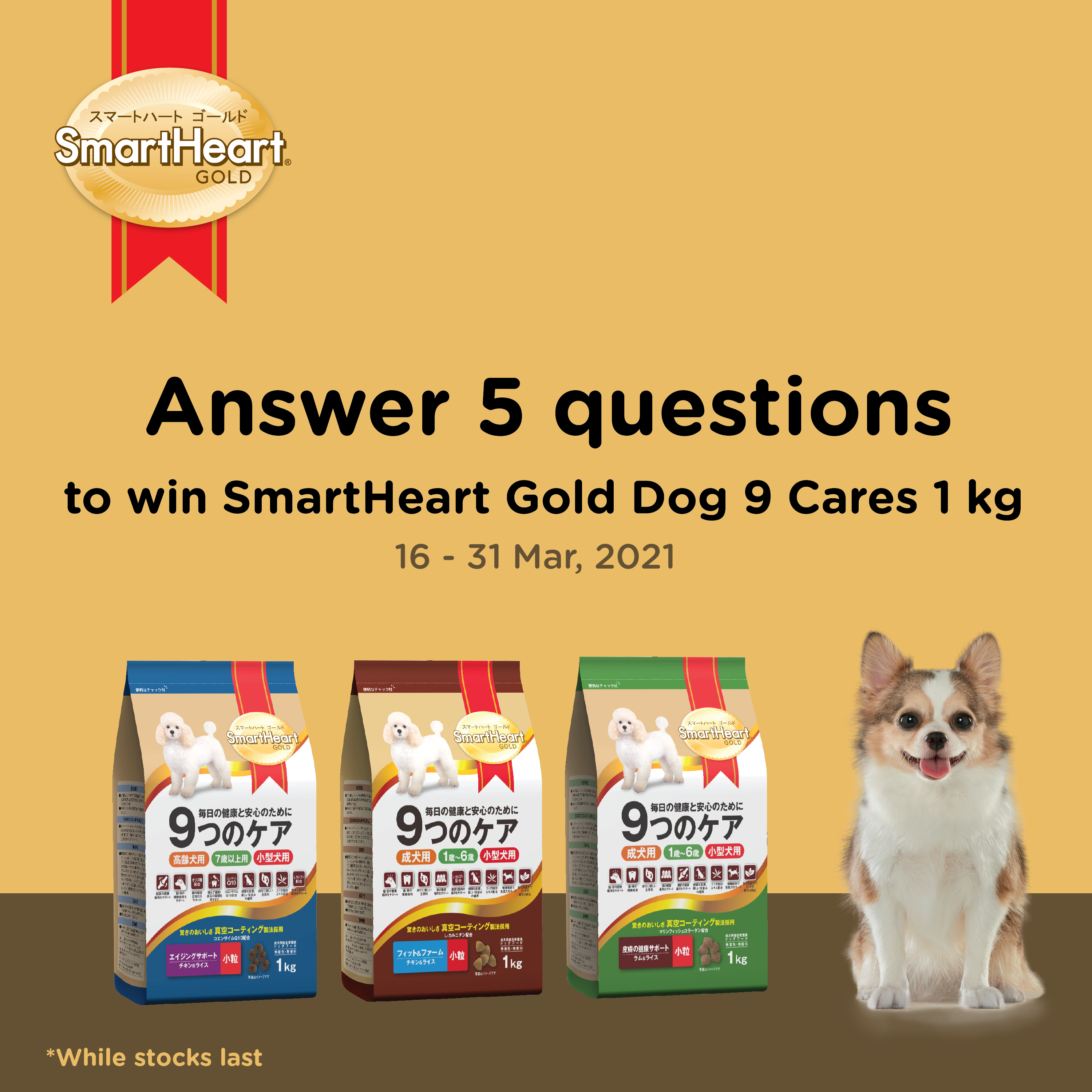 SmartHeart Gold Dog 9 Cares Challenges