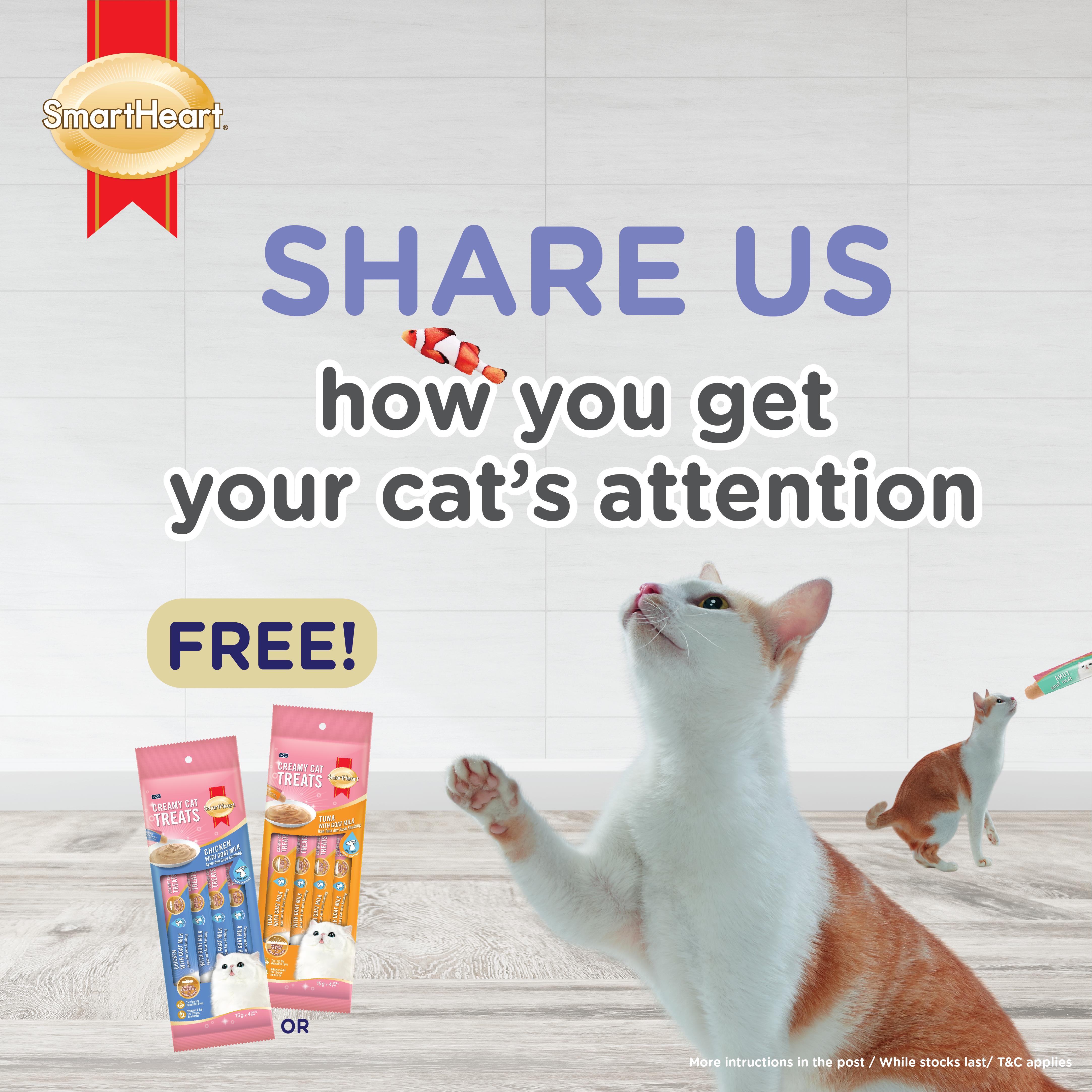 Giveaway: How to get cat’s attention