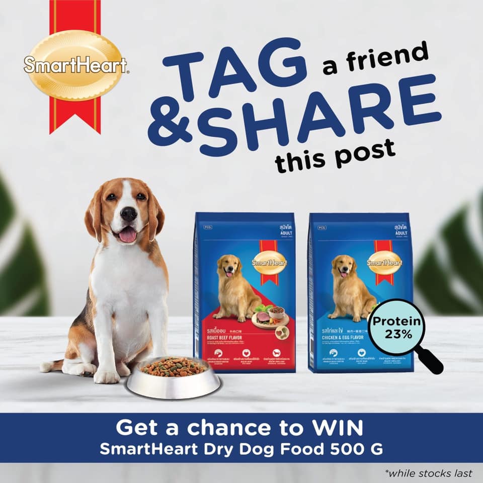 SmartHeart Dog Tag & Share